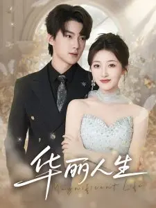 《华丽人生》影评：黑帮家族的爱恨情仇，残酷与温情的交织！