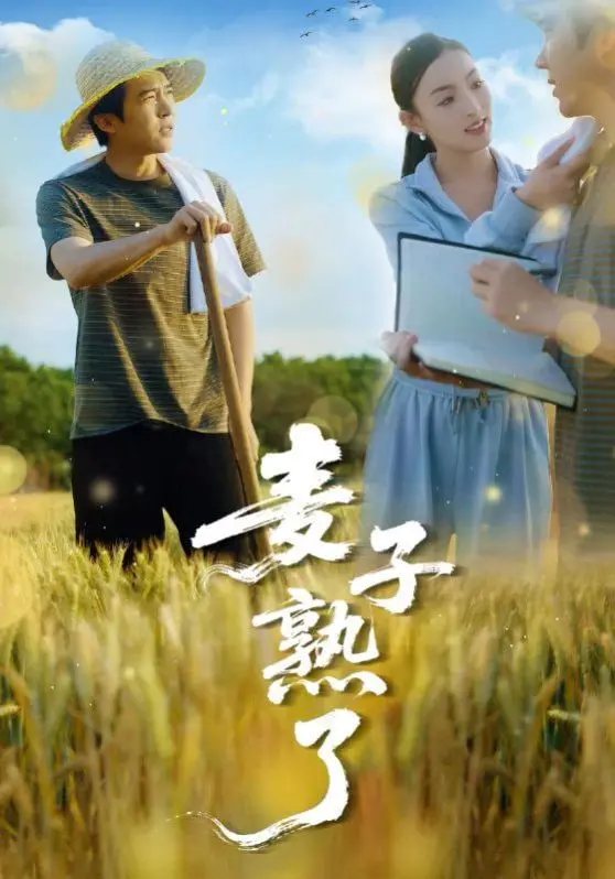 《麦子熟了》：一场关于成长的青春群像，青春的回响，你还记得吗？